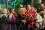 Dani. Auftritt viaDem Kasseler Bergpark-Konzerte 2014