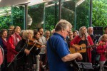 Auftritt viaDem Kasseler Bergpark-Konzerte 2014